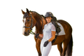 Chaser Bridle
