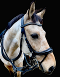 Equitus Evo Sports Bridle