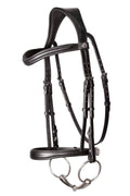 Henry James Cavesson Bridle